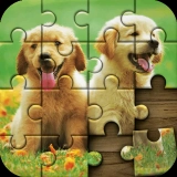 Jigsaw Puzzle
